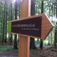Walderlebnispfad Velburg
