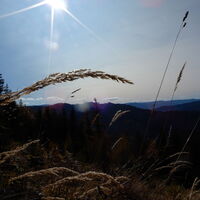 Altenbergsteig - Heukuppe
