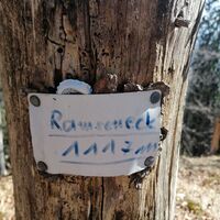 Gipfelbaumzettel