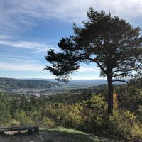Aussicht am Geschwister-Scholl-Turm