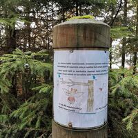 Herrainpäivien Naturpfad