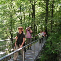 Tscheppaschlucht Ferlach