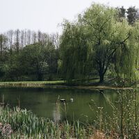 Der Erlebensweg der Sinne ist für Körper und Geist eine Bereicherung