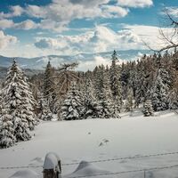 im schnee auf die packeralpe_img_25667536