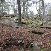 Ruinenreste am Felsgrad