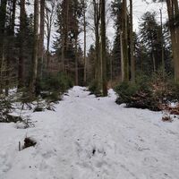 kurzer eisiger Anstieg zum Brotjacklriegel