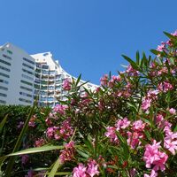 Weine und Mittelmeer0001 ©Eric Brendle - ADT34