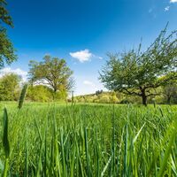Rund um Karlsbad