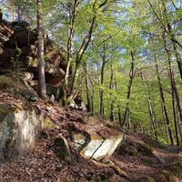 Pfad hoch zum Kippkopf nahe Leimen/Pfalz
