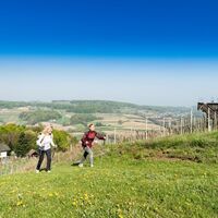 Wandern am Sonnengesangsweg im frühen Frühling