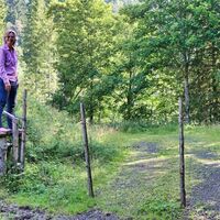 Überstieg bei der Weide