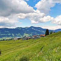Falzalpen