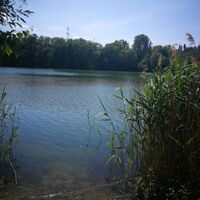 Der Reuschenberger See