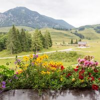 Ausblick Braunedl