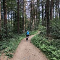 Weg an der Wupper