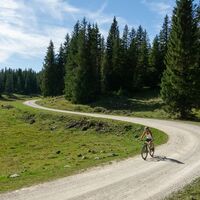 Viehbergalm-Runde_Abfahrt 