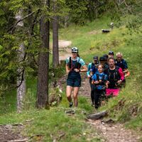 Pletzach-Feil Laufrunde - auf schönem Steig im Wald nach der Sennhütte Pletzach in Richtung Pertisau
