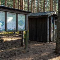 Päihäniemi