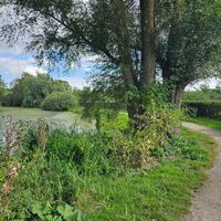 Naturschutzgebiet Etang Saint Ladre Boves