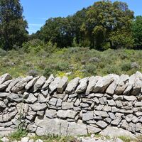 PR drailles Viols le Fort  8 @ Gilles Delerue