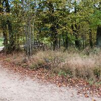 22.6 Gerade auf Wiesenweg (Schild "PO MEZI")