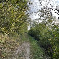 Und weiter auf der Trasse.
