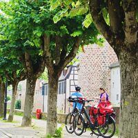 Remparts - Obernai