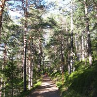 Semmeringwanderung