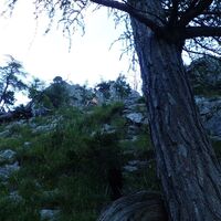 Aufstieg am Naturfreundesteig