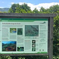 Informationstafel der Pro Natura mit viel Spannendem zum Stelsersee.