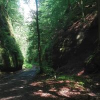 Die herrliche schattige Landgrafenschlucht bei Eisenach