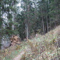 Abstieg Gantkofel/Macaion