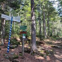 Wegkreuzung mit Aufstiegsmöglichkeit zum Dreiländereck