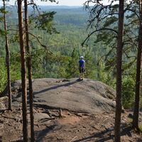 Neitvuori