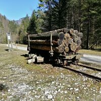 Im Tal des Holzes in der kalten Jahreszeit