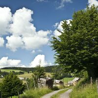 Aussicht bei Ohmenkapelle