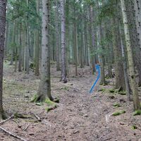 im Wald weiter hoch (Ziehweg)