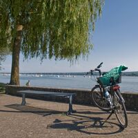 Seeblick zum Genießen