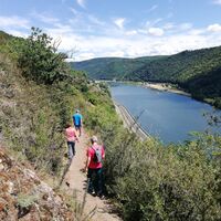 Buchsbaum-Wanderpfad