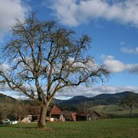 Abschluss der Tour