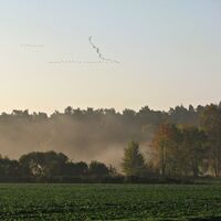 Felder im Wendland
