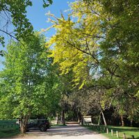 Wald von Rothonne in Belley