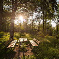 Die Natur am Wilzenberg genießen