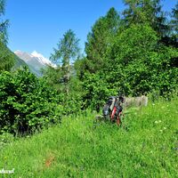 Die weiße Spitze des Großglockners (3798m) begrüßt uns.