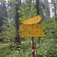 Endspurt