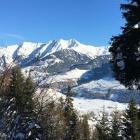 verschneite Winterlandschaft