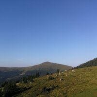 Ausblick auf den Peterer Sattel - Aufstieg vom Salzstiegelhaus auf den Speikkogel