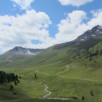 Tamangur Dadora, Blick zur Alp Astras