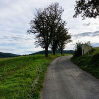 Weg nach Pöggstall