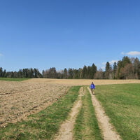 Heimwärts